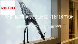 理光