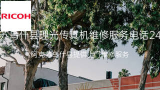 理光