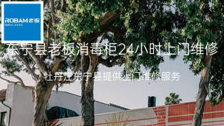 老板