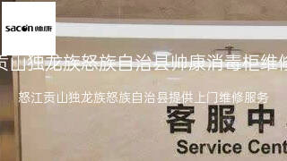 帅康