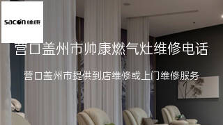 帅康