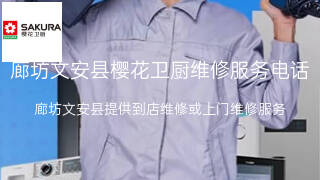 樱花卫厨
