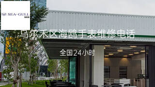 海鸥