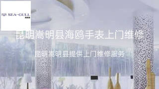 海鸥