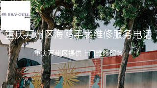 海鸥