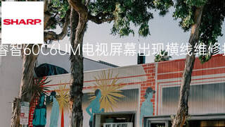 夏普睿智60C6UM电视屏幕出现横线维修报价 夏普睿智60C6UM电视屏幕出现横线维修报价