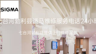适马