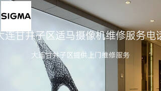 适马