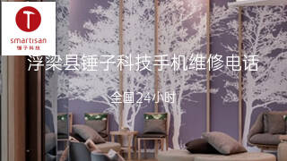 锤子科技