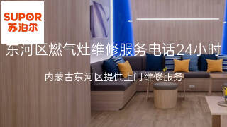 苏泊尔