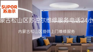 苏泊尔