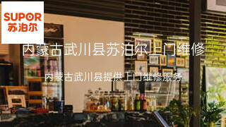 苏泊尔