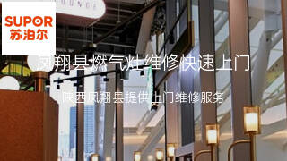 苏泊尔