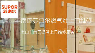 苏泊尔