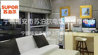 苏泊尔
