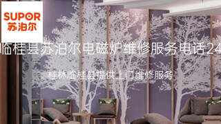 苏泊尔