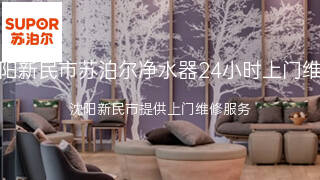 苏泊尔