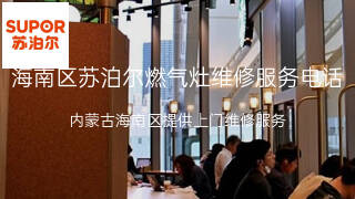 苏泊尔