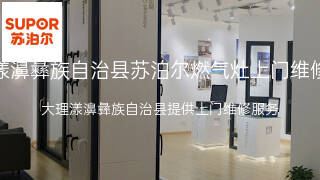 苏泊尔