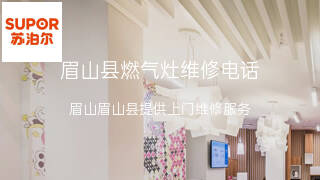 苏泊尔