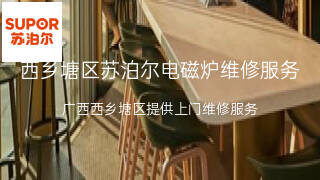 苏泊尔