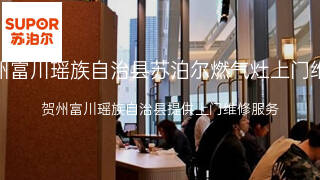 苏泊尔