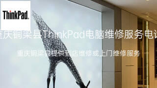 ThinkPad