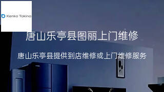 图丽