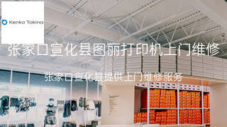 图丽