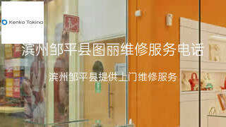 图丽