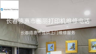图丽