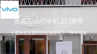 VIVO