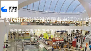 微鲸