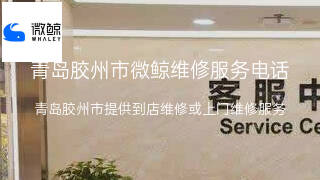微鲸