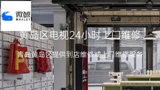 微鲸