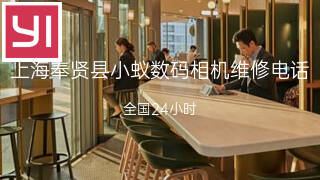 小蚁