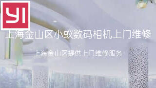 小蚁