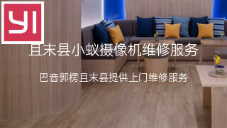 小蚁