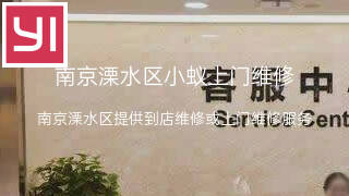 小蚁