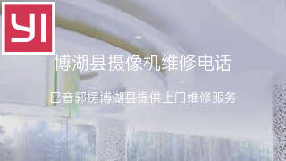 小蚁