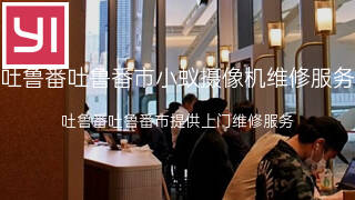 小蚁