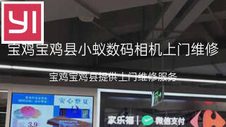小蚁