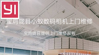 小蚁