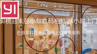 小蚁
