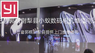 小蚁