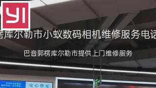 小蚁