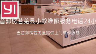 小蚁