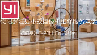 小蚁