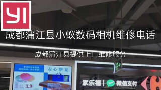 小蚁