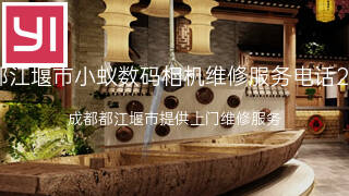 小蚁